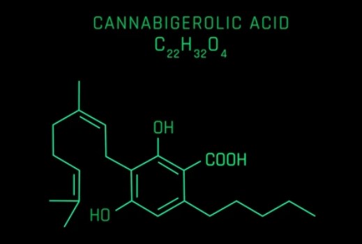 CBN (kannabinol)